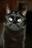 MOROCH