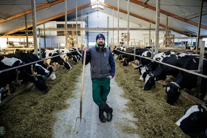 L'éleveur Marc Bernhardt dans sa ferme de vaches laitières, le 10 janvier 2024 à Freital, dans l'est de l'Allemagne