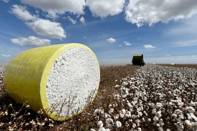 A bale of cotton in a field at the Pamplona farm, on July 14, 2022 in Cristallina, Brazil