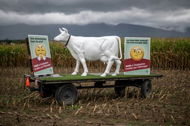 Posters against intensive farming in a field near Collex-Bossy, Switzerland, September 15, 2022