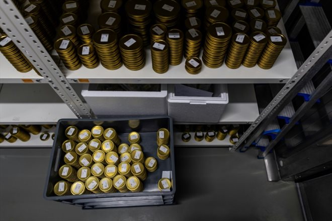 Cans of caviar for export, on November 4, 2022 in Rus, Poland