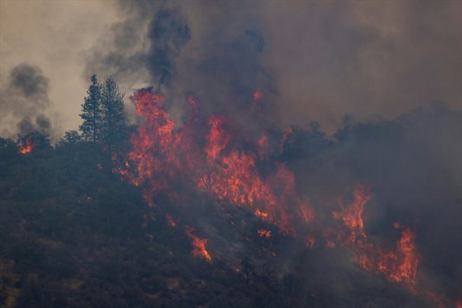 A fire ravages a forest in California, August 2, 2022