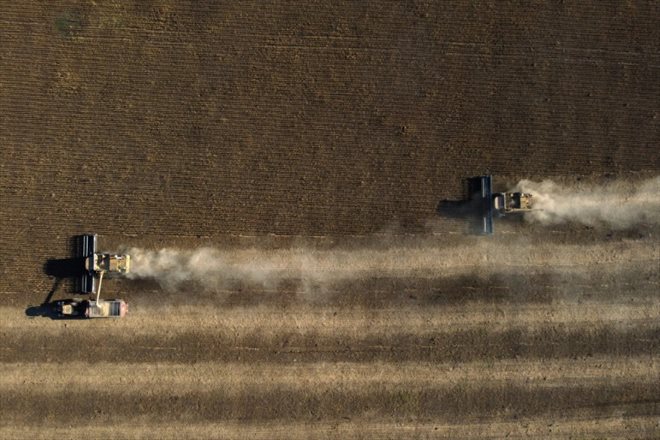 Combine harvesters in a soybean field in Lobos, about 100 km west of Buenos Aires, on April 29, 2022.